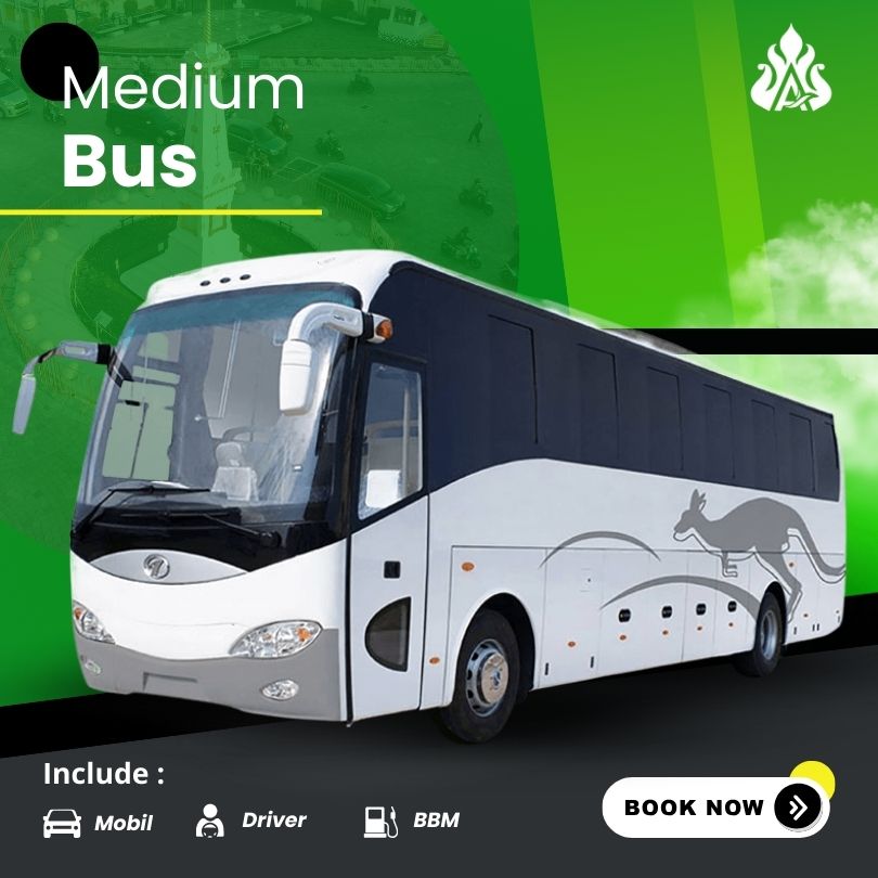 Medium Bus